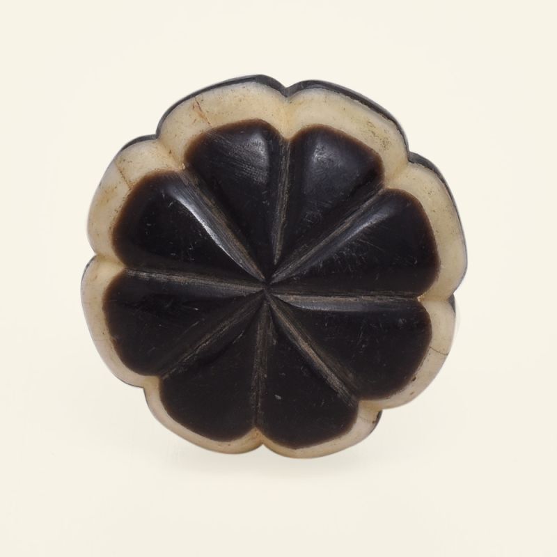 Drawer and Door Knobs - Bone White Border